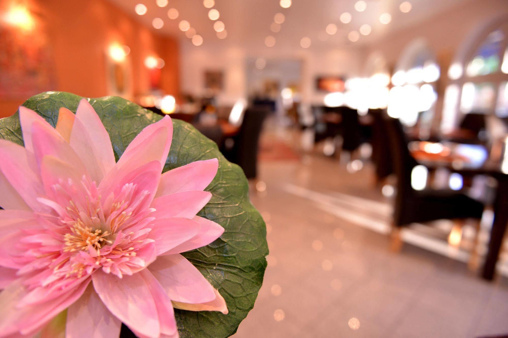 Alpha Hotel Garni Dietzenbach Extérieur photo